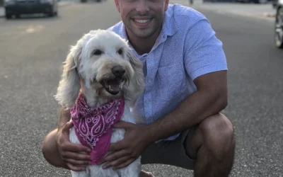 What to look out for while walking your dog