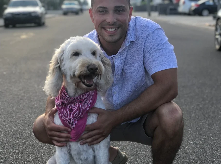 What to look out for while walking your dog